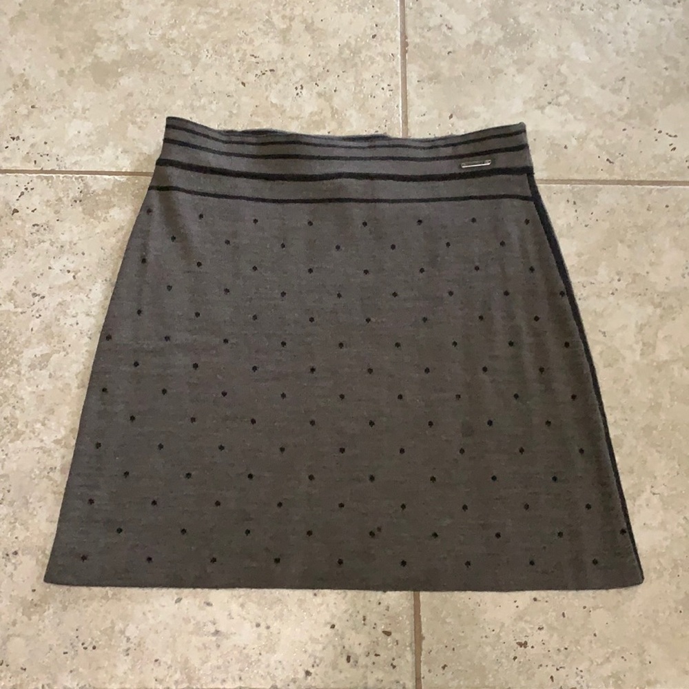 Smartwool skirt